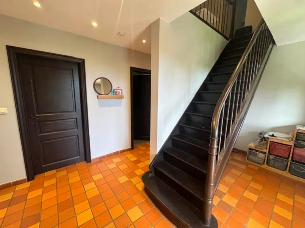 Toad - Villa with Ground Floor Living in Wierde