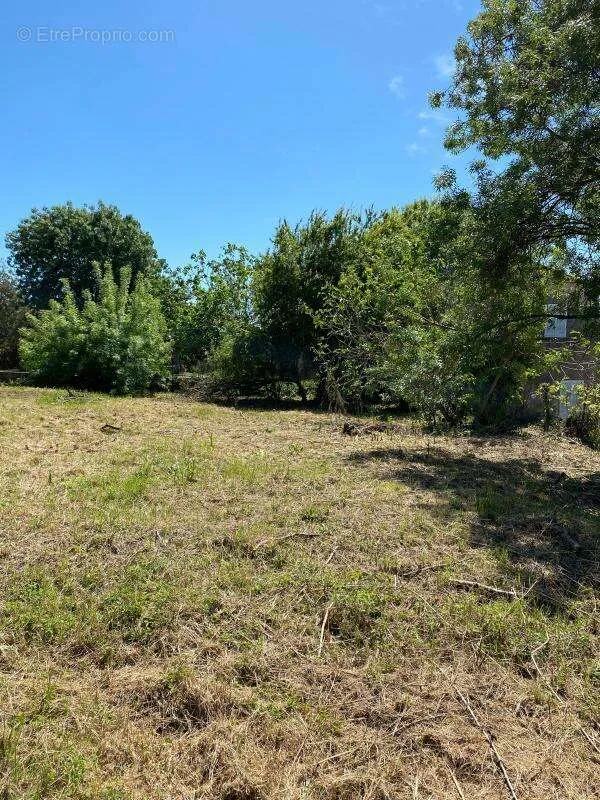Aed - Buildable Plot with Views in Cannes