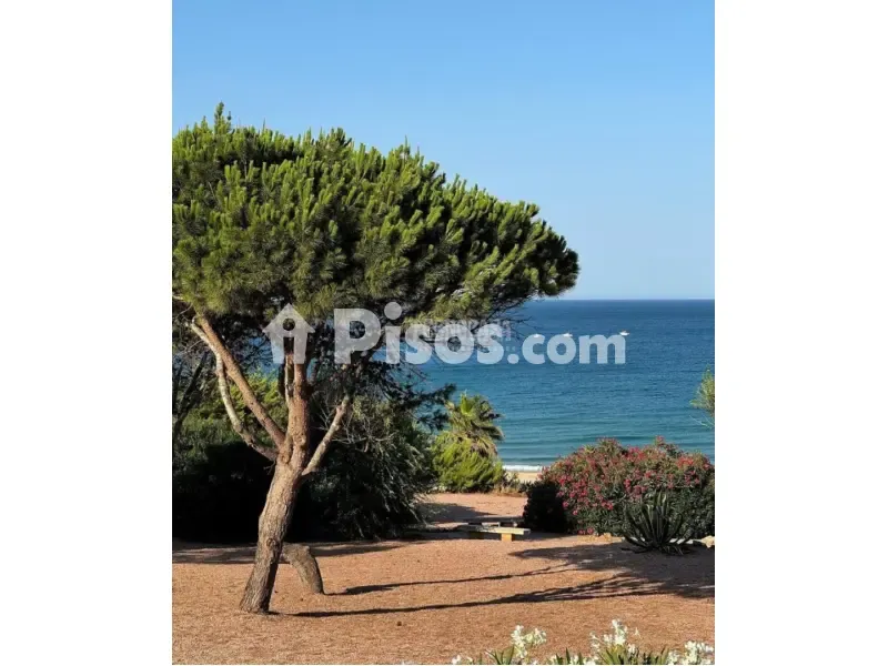 Reformed Apartment with Patio in Conil