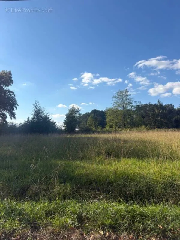 Aed - 1200 m² Plot with South View in Lugon-et-l'Île-du-Carnay