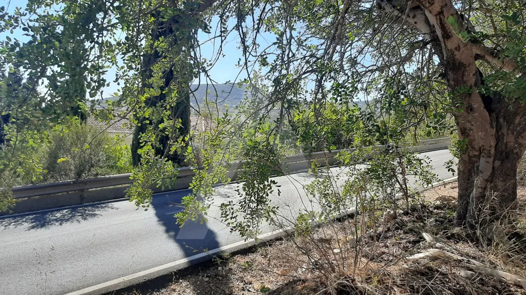 Aed - Restoration Plot with Mountain View near Faro