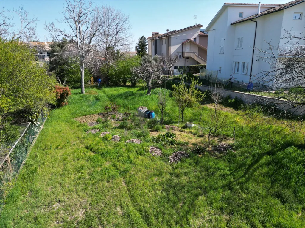 Jardin - Cielo-Terra House with Garden in Cupramontana