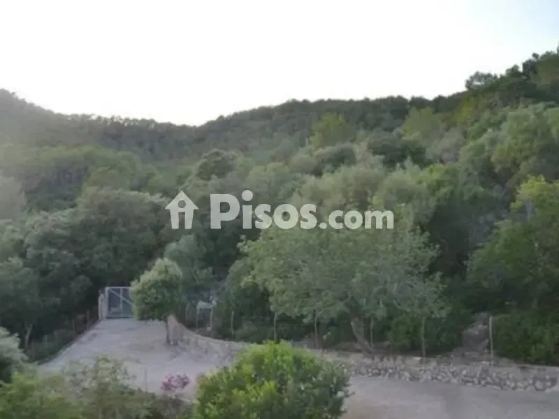 Jardin - Rustic House with 360° Views in Sa Pobla