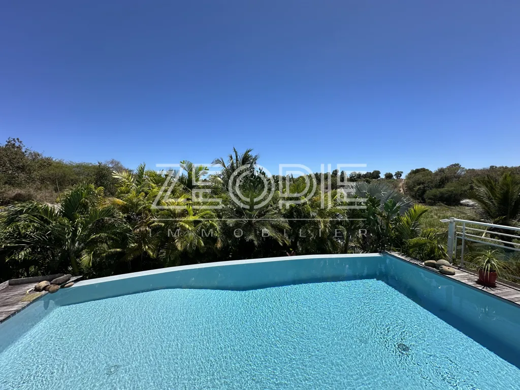 Piscine - Villa d'Architecte avec Piscine à Saint-François