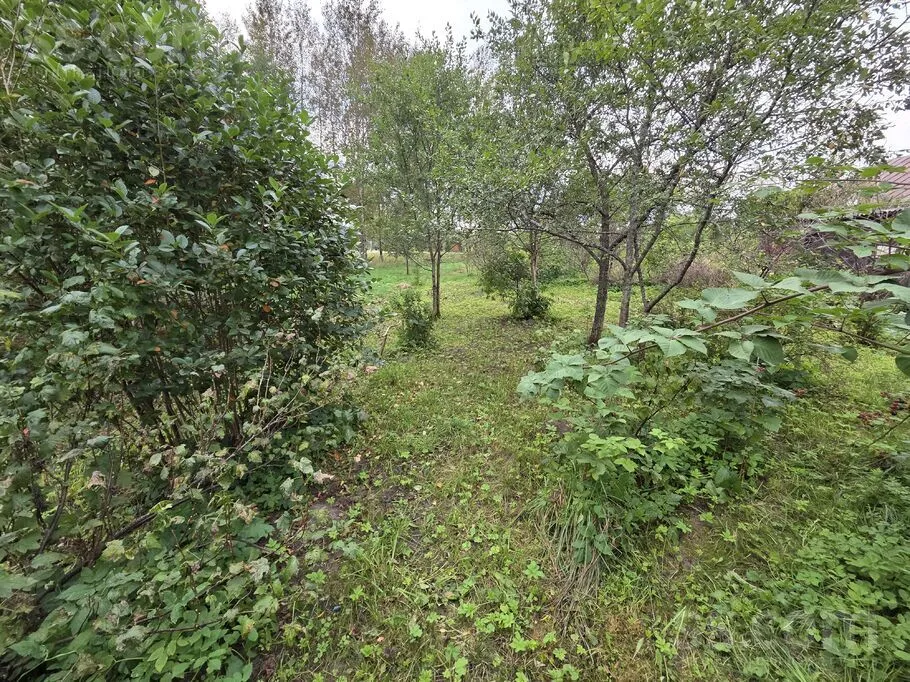 Jardin - Farmhouse with Orchard in Šķeltovas, Krāslava