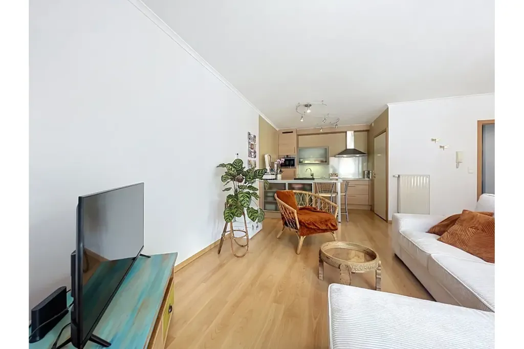 Elutuba - Apartment with Terrace in Liège