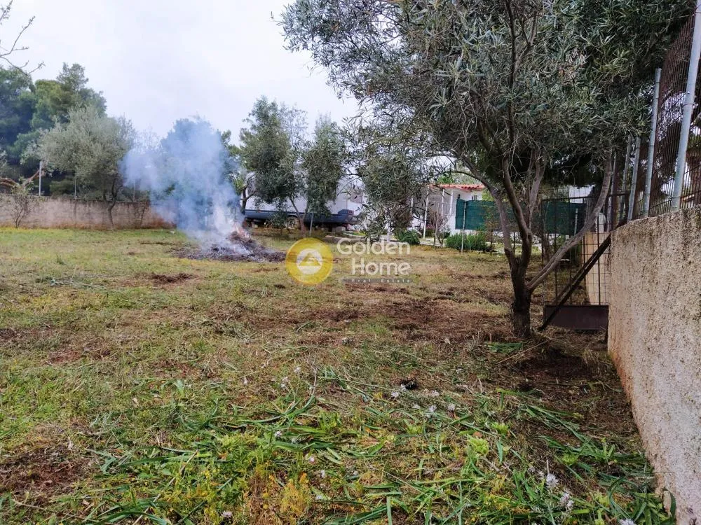 Jardin - Agricultural Plot with Sea View in Artemida
