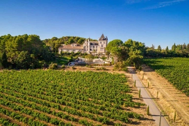 Kõik fotod (18) - Château Apartment with Vineyard Views in Quarante