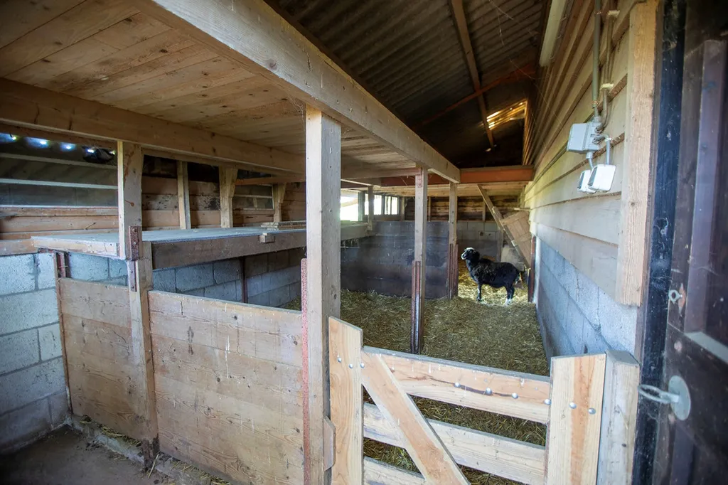 Toad - Charming Landhouse with Parkland in Linschoten