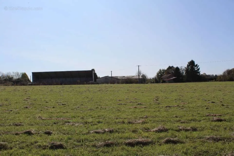 Jardin - Terrain avec Vue sur Espace Vert à Marsalès