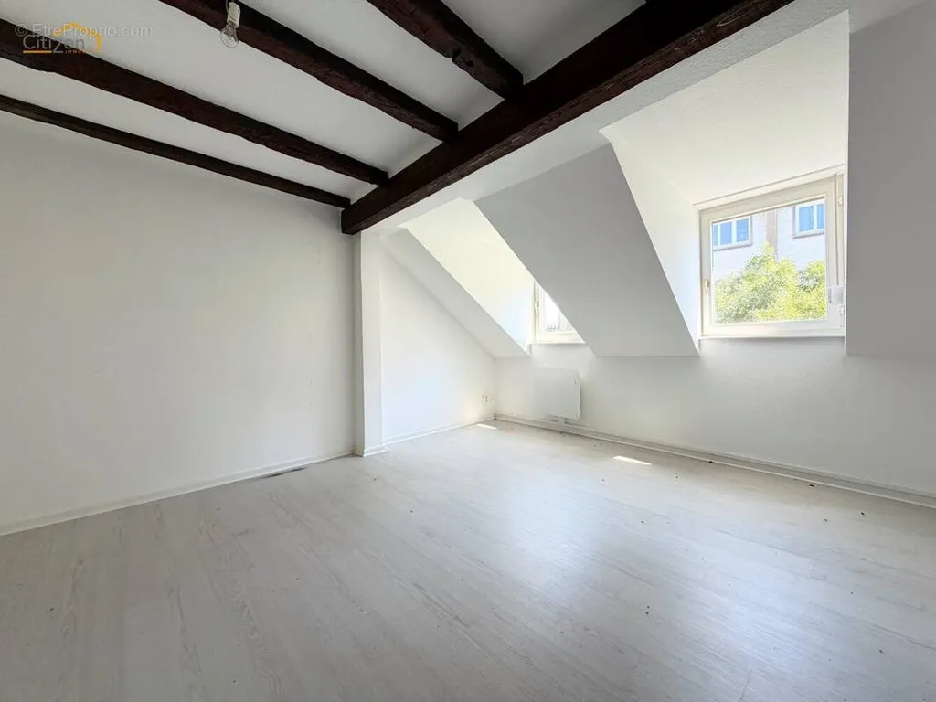 Toad - Duplex Apartment in Historic Centre, Strasbourg