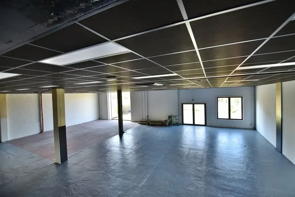 Toad - Multifunctional Business Premises with Outdoor Pool in Hamme