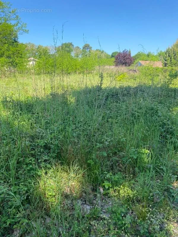 Jardin - Terrain à Bâtir avec Jardin à Gujan-Mestras