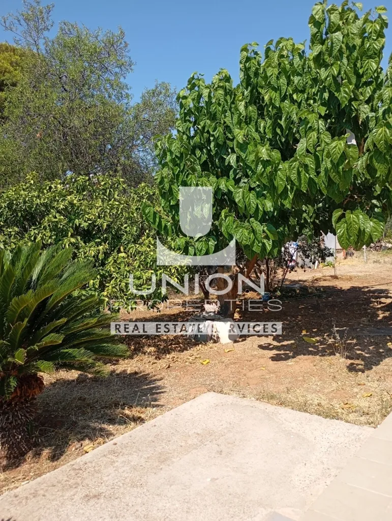Giardino - Detached House with Sea View in Rafina