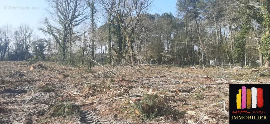 Aed - Constructible Plot with Vélodyssée Access in Dax