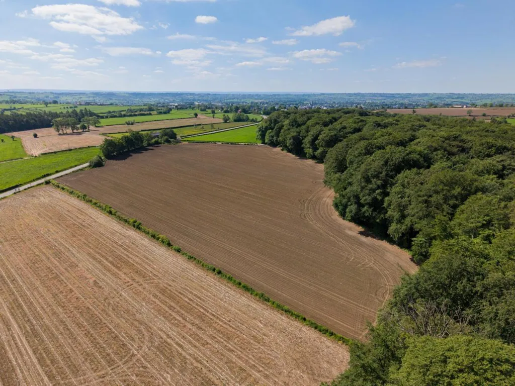 Vue aérienne - Terrain Agricole Plat à Rémersdael dans les Fourons