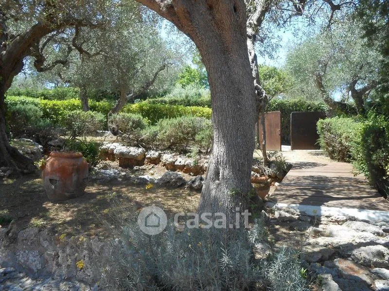 Aed - Bifamiliar Villa with Historical View in Orbetello