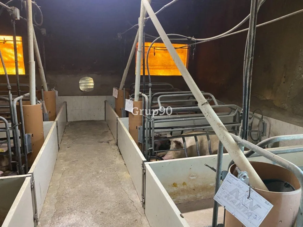 Pièces - Pig Farm with Cultivation in Cabanes