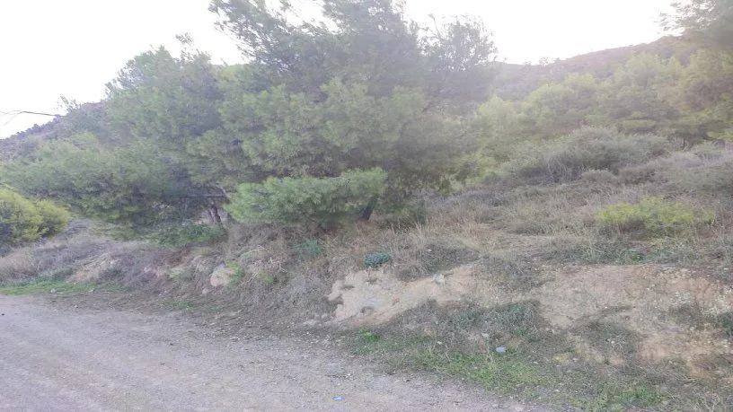 Garden - Building Land with Multiple Views in Murcia
