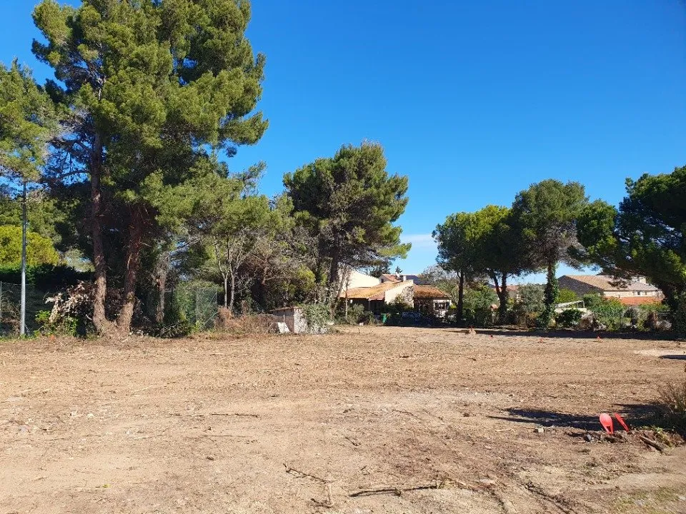 Jardin - Maison Contemporaine à Construire à Fleury