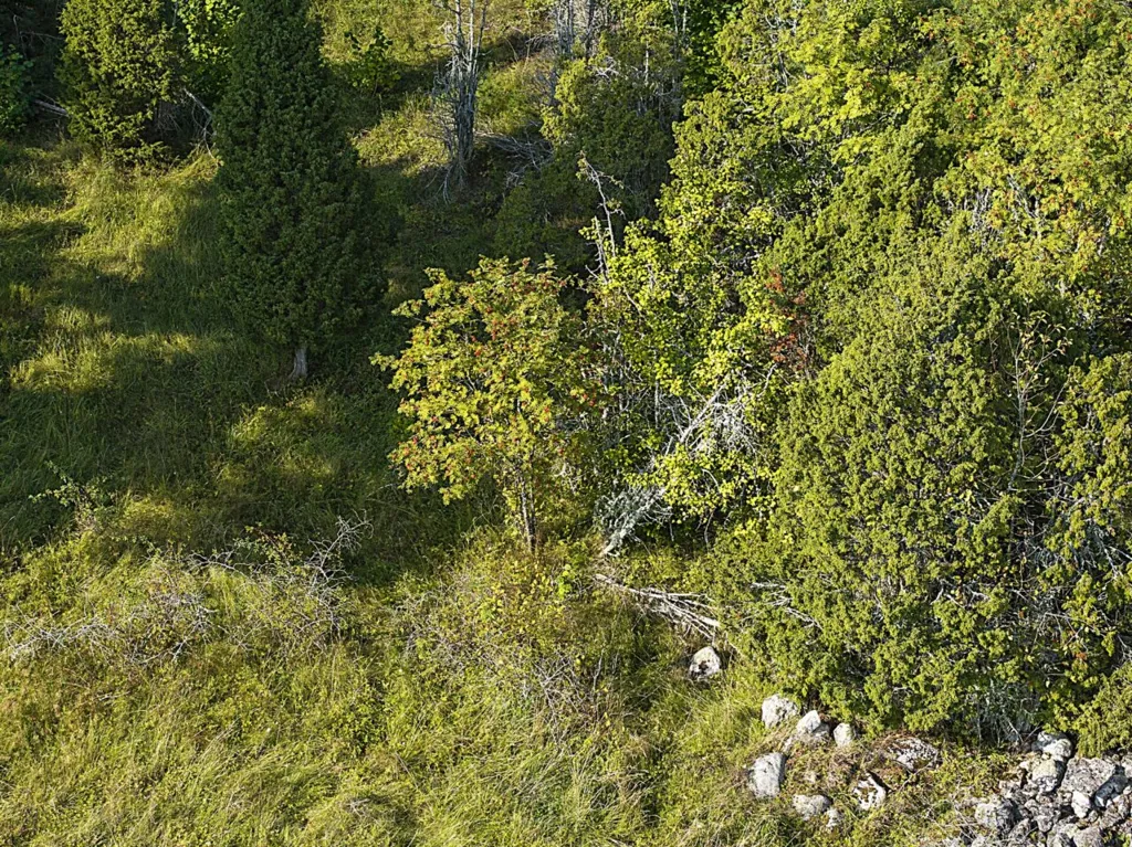 Vue aérienne - Plot with Potential for Cottage in Meiuste
