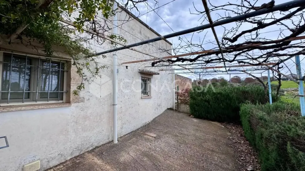 Jardin - Renovated Trullo with Garden in Ostuni