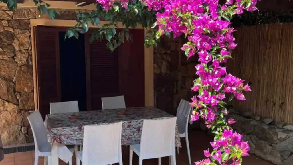 Terrasse - Contemporary Villa with Sea Access in Palau