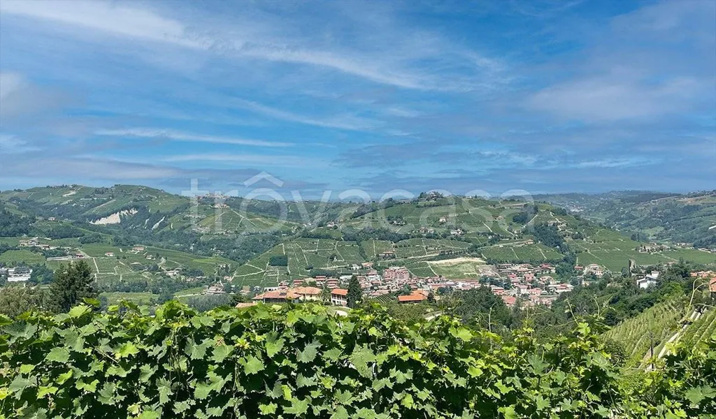 Rustic Casale with Vineyard Views in Santo Stefano Belbo