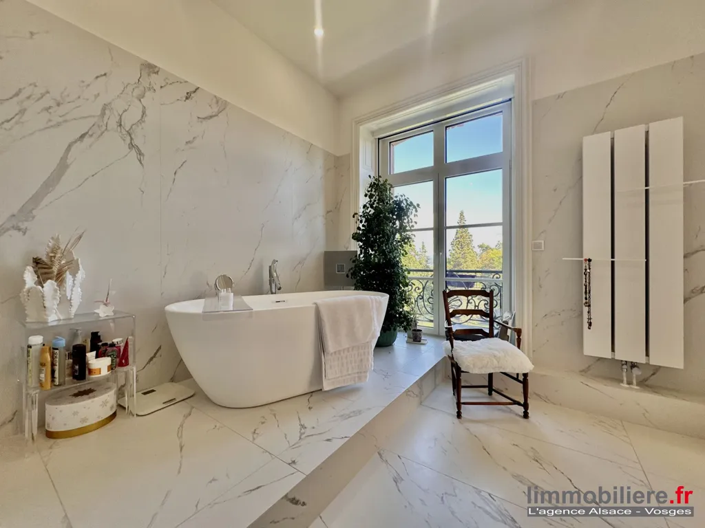 Bagni - Luxury Flat with Park Views in Saint-Dié-des-Vosges