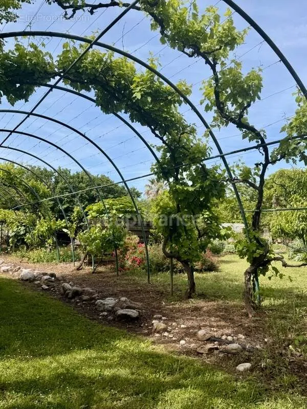 Jardin - Propriété de Caractère avec Parc à Limoux