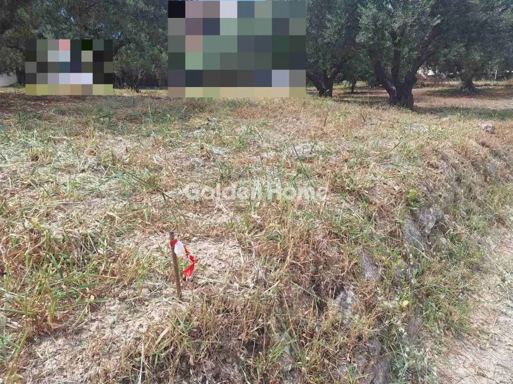 Jardin - Buildable Plot with Sea View in Heraklion
