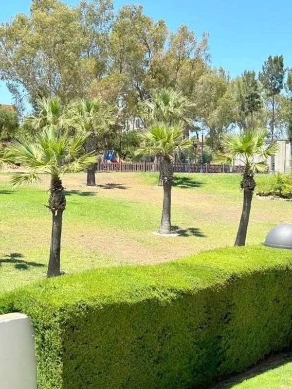 Aed - Apartment with Pool and Terrace in La Duquesa