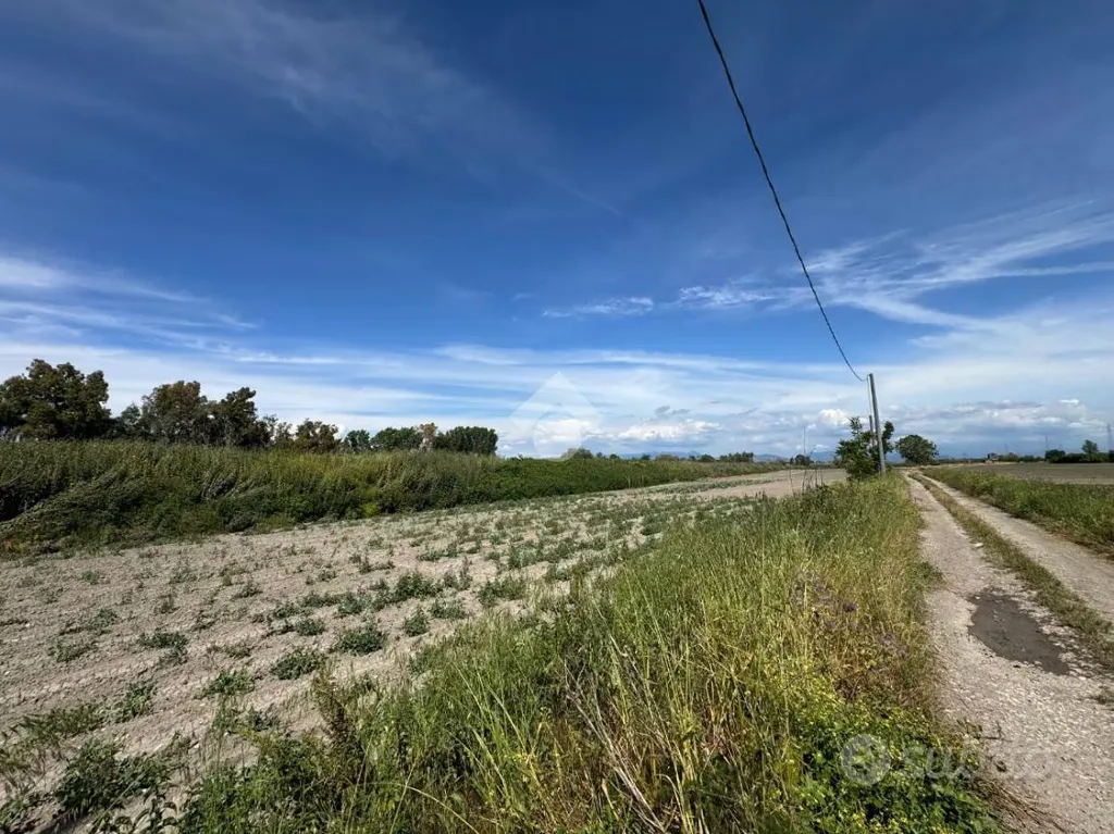 Jardin - Agricultural Land on Casaluce Highway