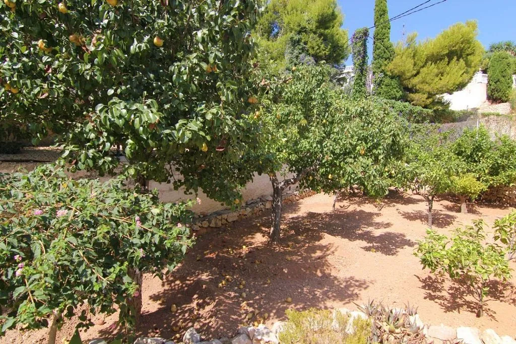 Jardin - Villa with Pool and Terrace in Calpe