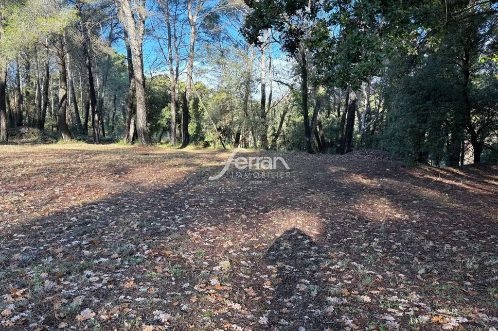 Jardin - Terrain Constructible pour Hébergement Touristique à Callas