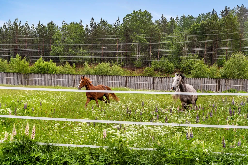 Garden - Complete Horse Farm with Residence in Rural Area