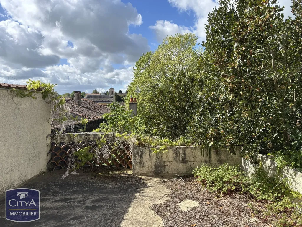 Aed - Character House with River Access in Vouillé