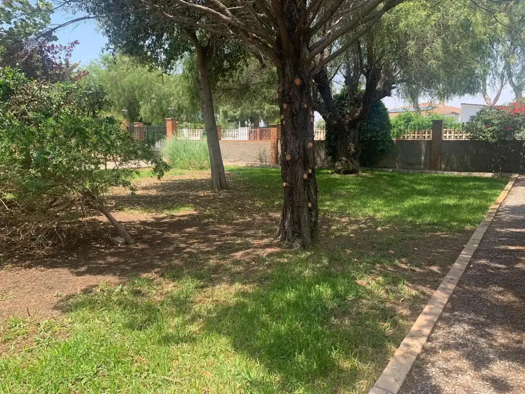 Garden - Chalet with Private Pool in Mutxamel