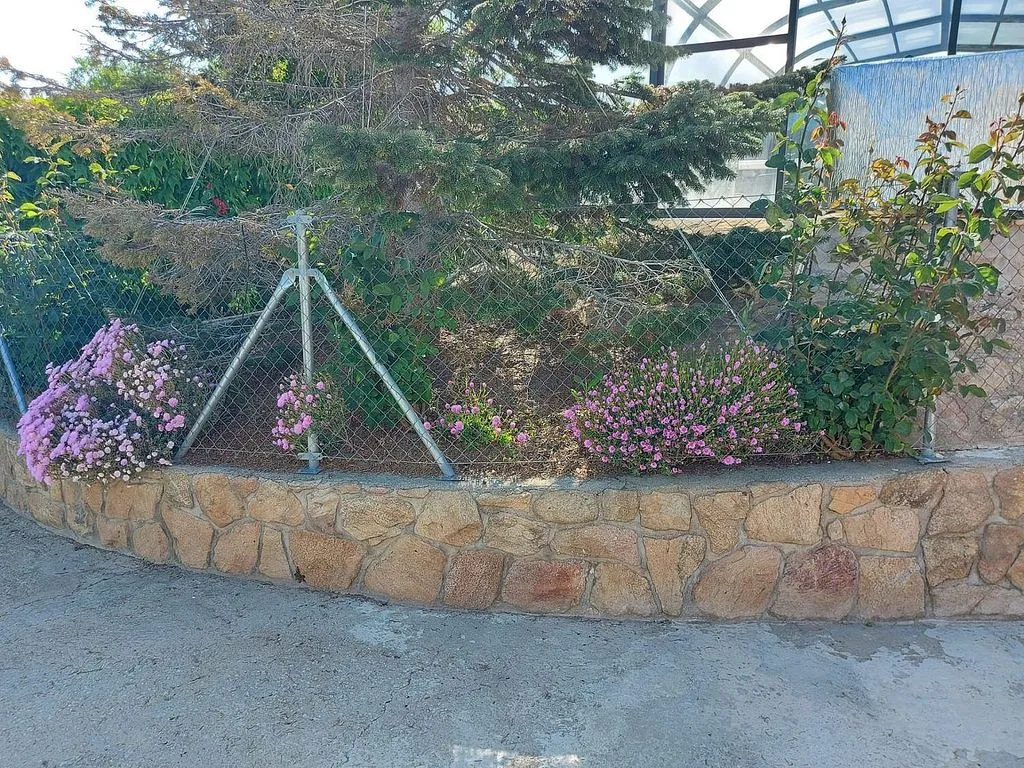 Jardin - Chalet with Pool in Navas del Rey