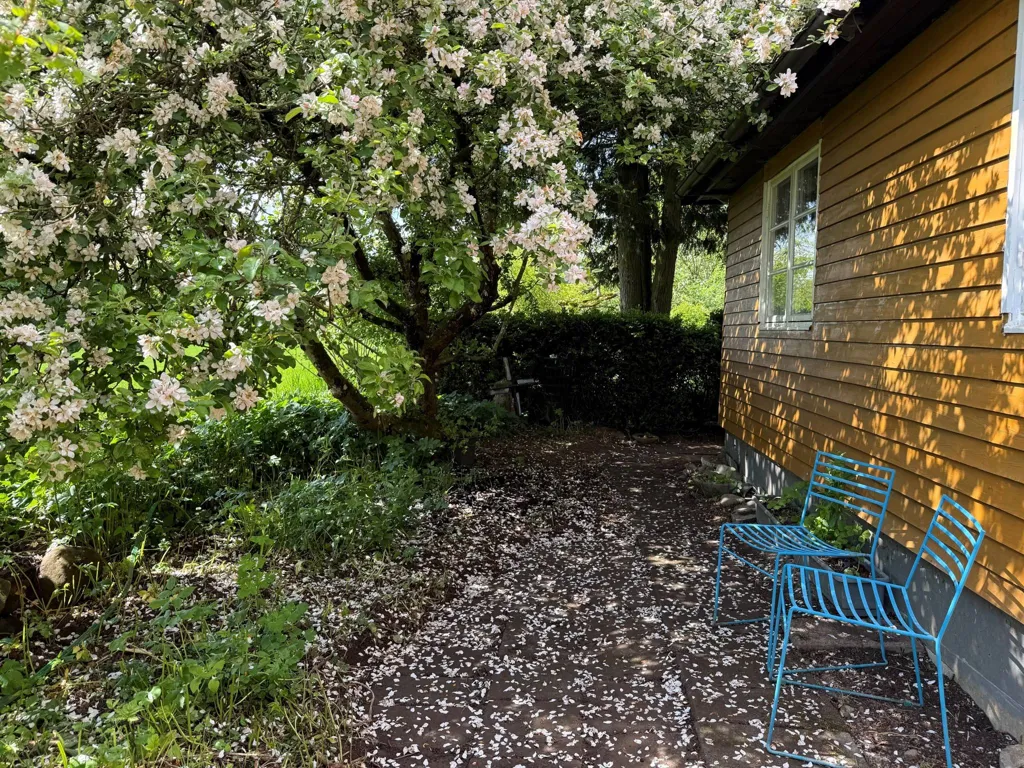 Jardin - Charming Yellow Cottage with Orchard in Scania
