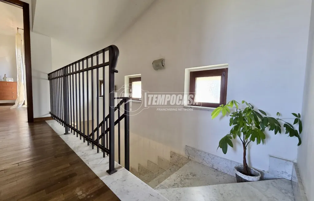 Toad - Rustic Villa with Garden in Castagnola, Massa