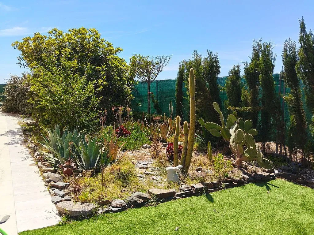 Garden - Chalet with Pool and Sea View in La Manga