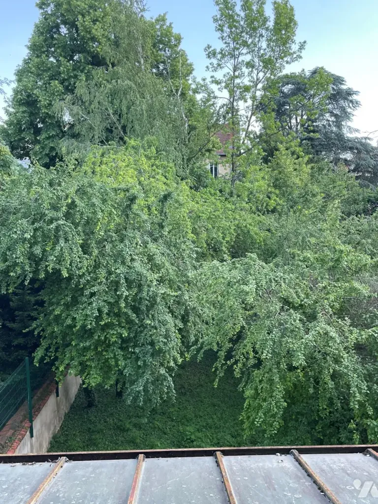 Jardin - Maison de maître avec jardin et terrasse à Nancy