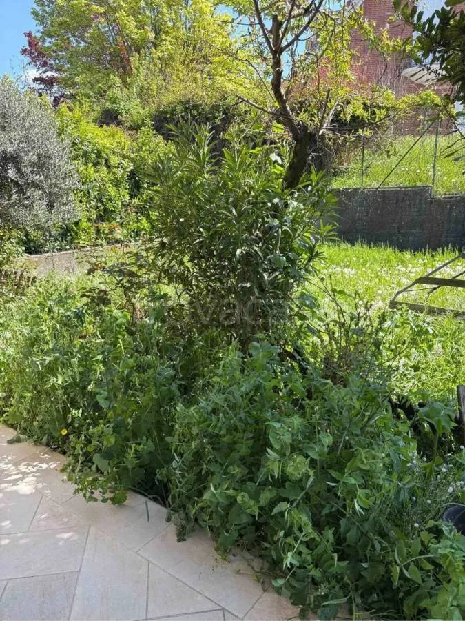 Aed - Villa with Panoramic View in Benevello