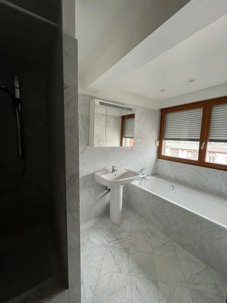 Salles de bain - Duplex avec Terrasse à Strasbourg République