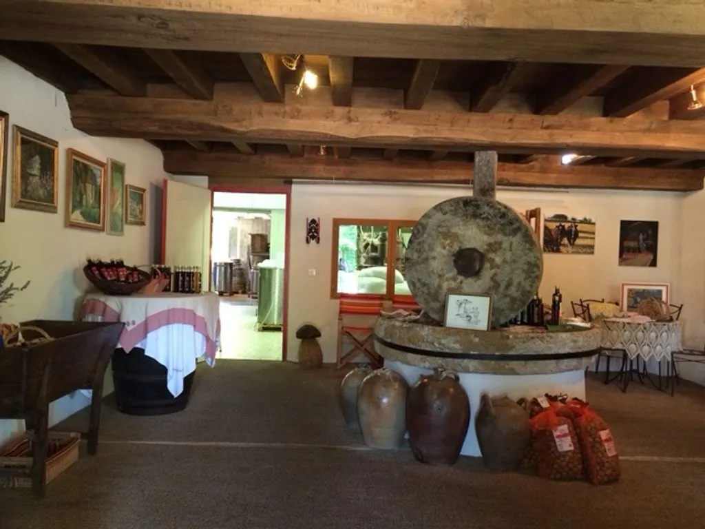 Toad - Luxury House with Pool in Grun-Bordas