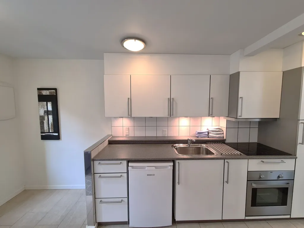 Cuisine - One-Bedroom Apartment with Garden Access in Aarhus C