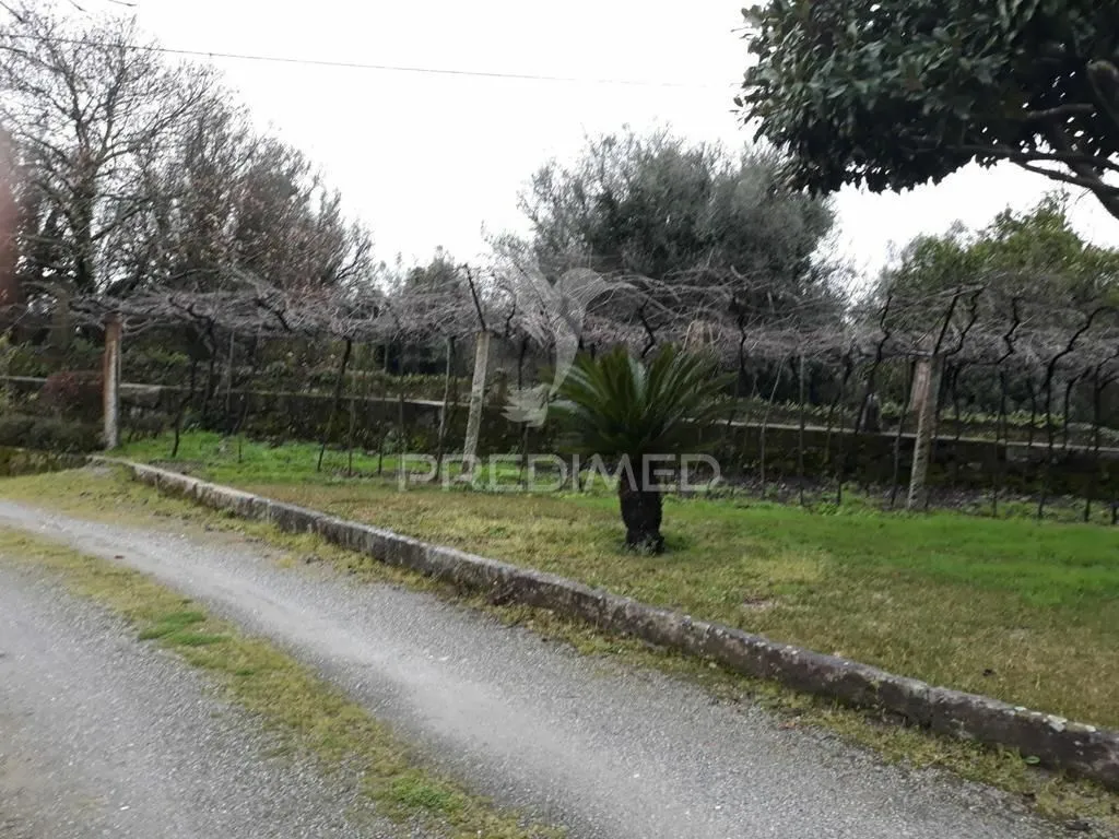 Aed - Luxury Villa with Walled Garden in Ponte do Lima