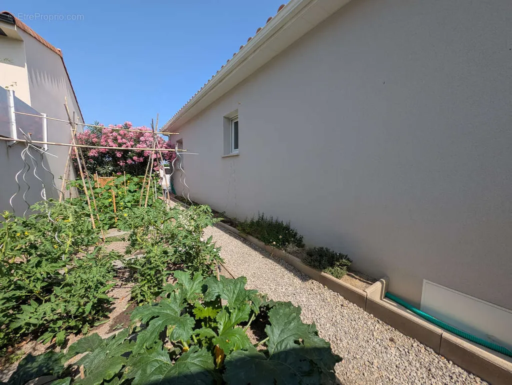 Aed - Luxury Villa with Pool in Canet