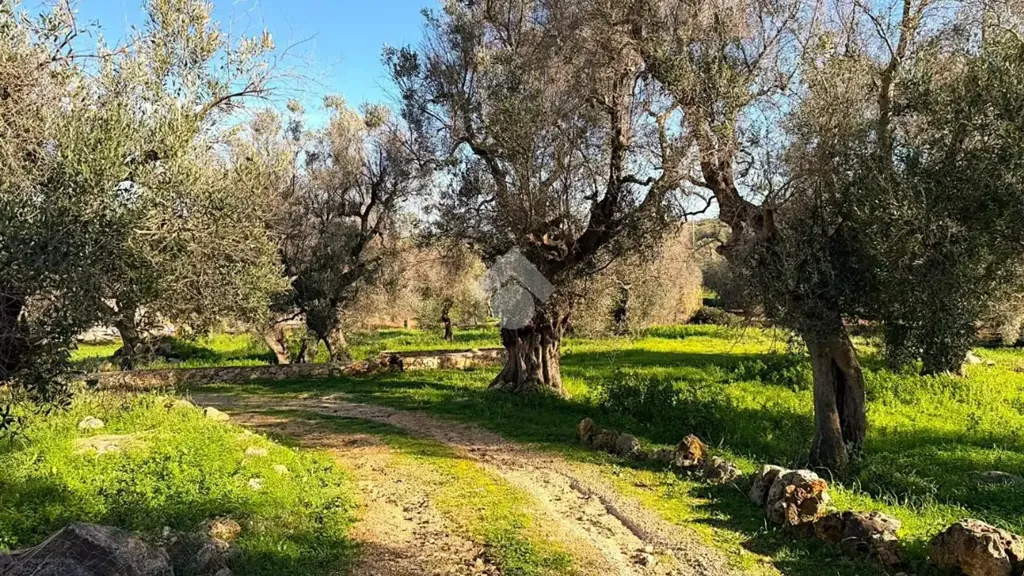 Jardin - Villa with Sea View in Carovigno